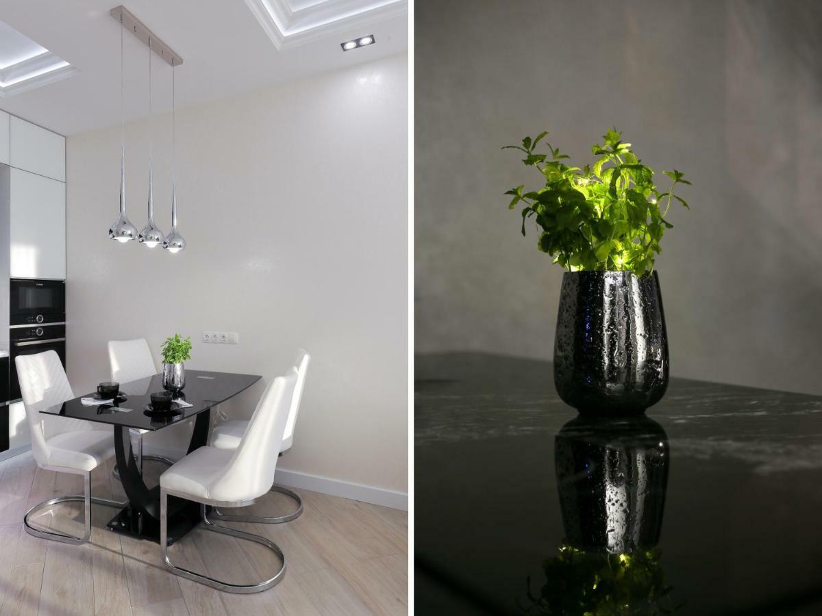 Black&White Apartment In Smart Plaza Kiev Dış mekan fotoğraf